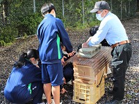 和歌山県 みなべ町立高城中学校 15人の2年生2