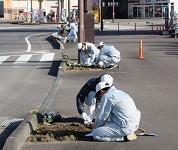 高知県 幡多(はた)農業高校 園芸システム科3年生のみなさん3