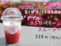山口県 田布施農工高校 食品科学科のみなさん2