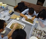 広島県 西条農業高校 生活科2年生のみなさん2