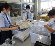 広島県 西条農業高校 生活科2年生のみなさん3