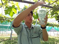 広島県 吉田高校 アグリビジネス科のみなさん2