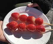 茨城県 取手松陽高校 生徒会のみなさん4