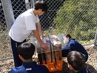 和歌山県 みなべ町立高城中学校 1年生のみなさん2