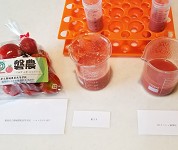 福島県　磐城農業高校　磐農ビジネスクラブのみなさん4