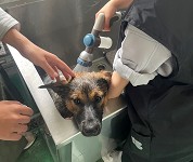 岐阜県 大垣養老高校 犬クラブのみなさん2