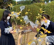 大阪府 泉北高校 泉北レモンプロモーション班のみなさん2