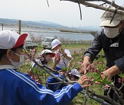 新潟県 刈羽村立刈羽小学校 6年生のみなさん4