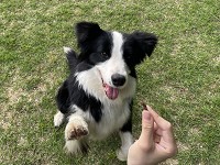 兵庫県 兵庫県立農業高校 動物科学科2、3年生のみなさん2