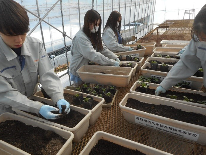 長野県 佐久平総合技術高校 農業科(生物サービス科植物活用コース)のみなさん1