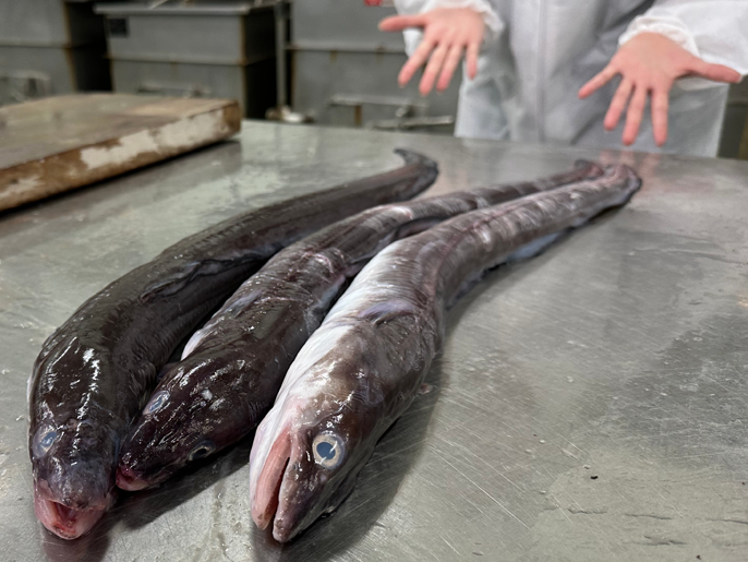 宮城県　南三陸高校　情報ビジネス科３年生のみなさん4