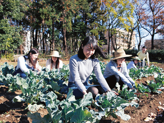 十文字学園女子大学の部活