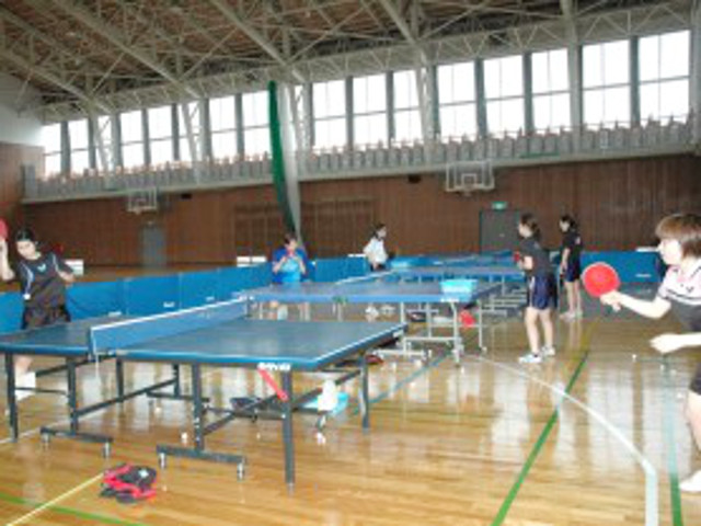 東北文教大学の部活