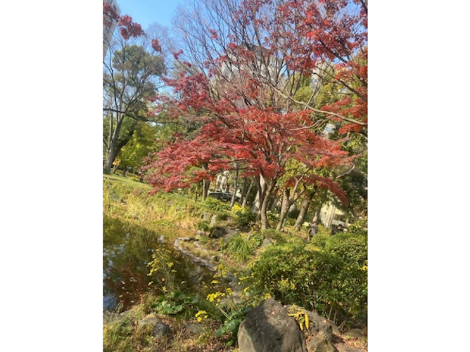 東海学園大学の部活