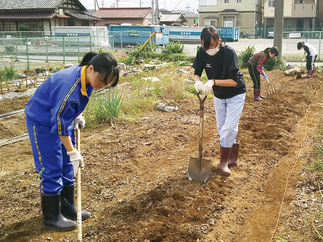 日本栄養大学の部活