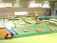 仙台大学の部活