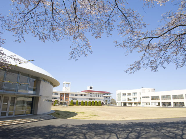 宇都宮短期大学のクラブ活動