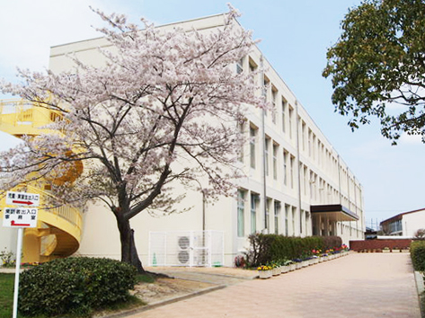 （附属小学校）初等教育を行う教育機関であるとともに， 教育実習先としての役割も担う
