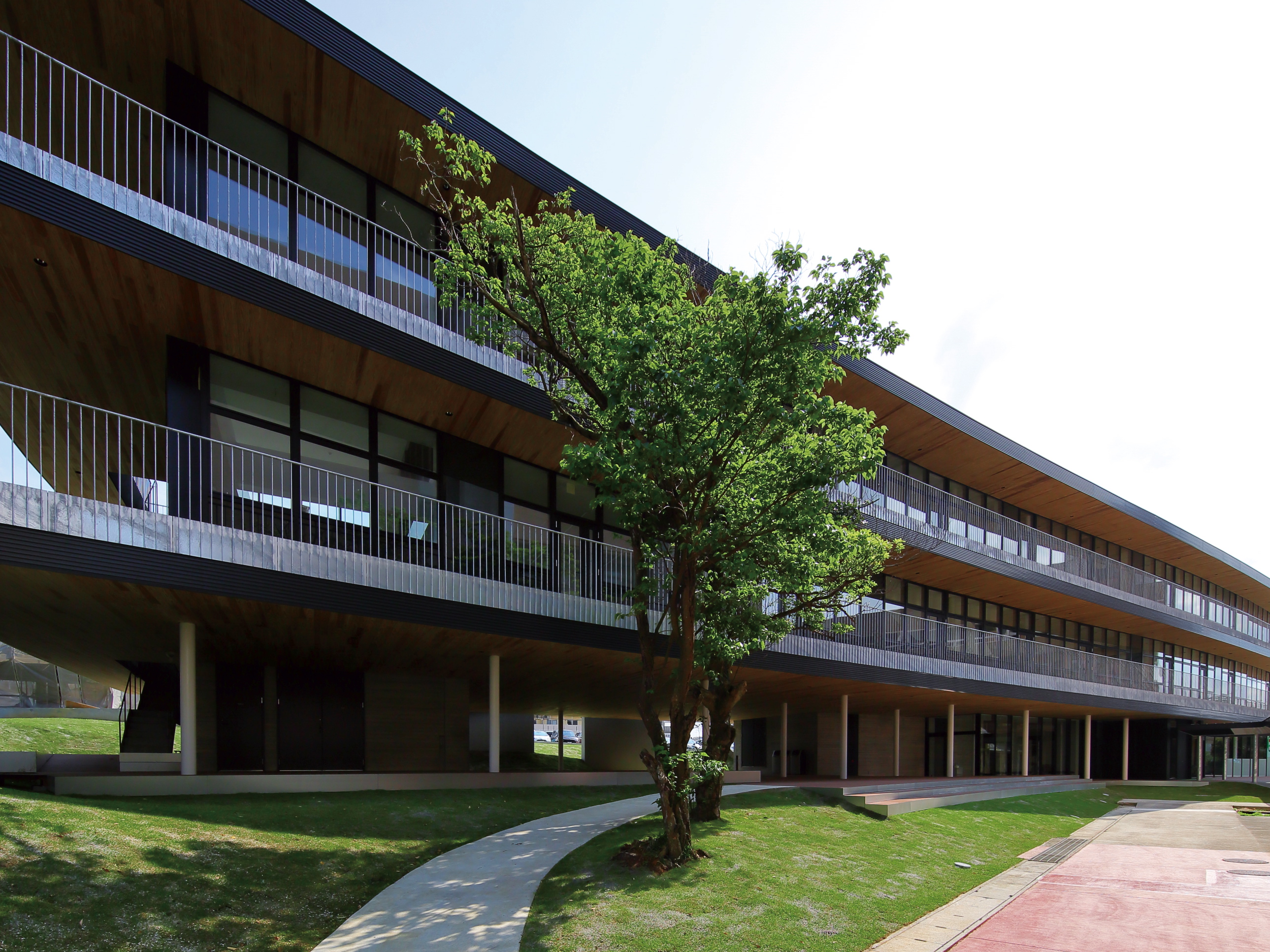 沖縄国際大学のcampusgallery