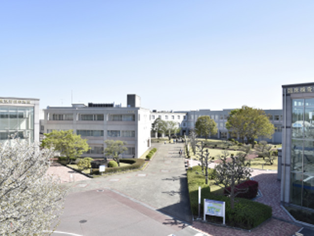 つくば国際大学