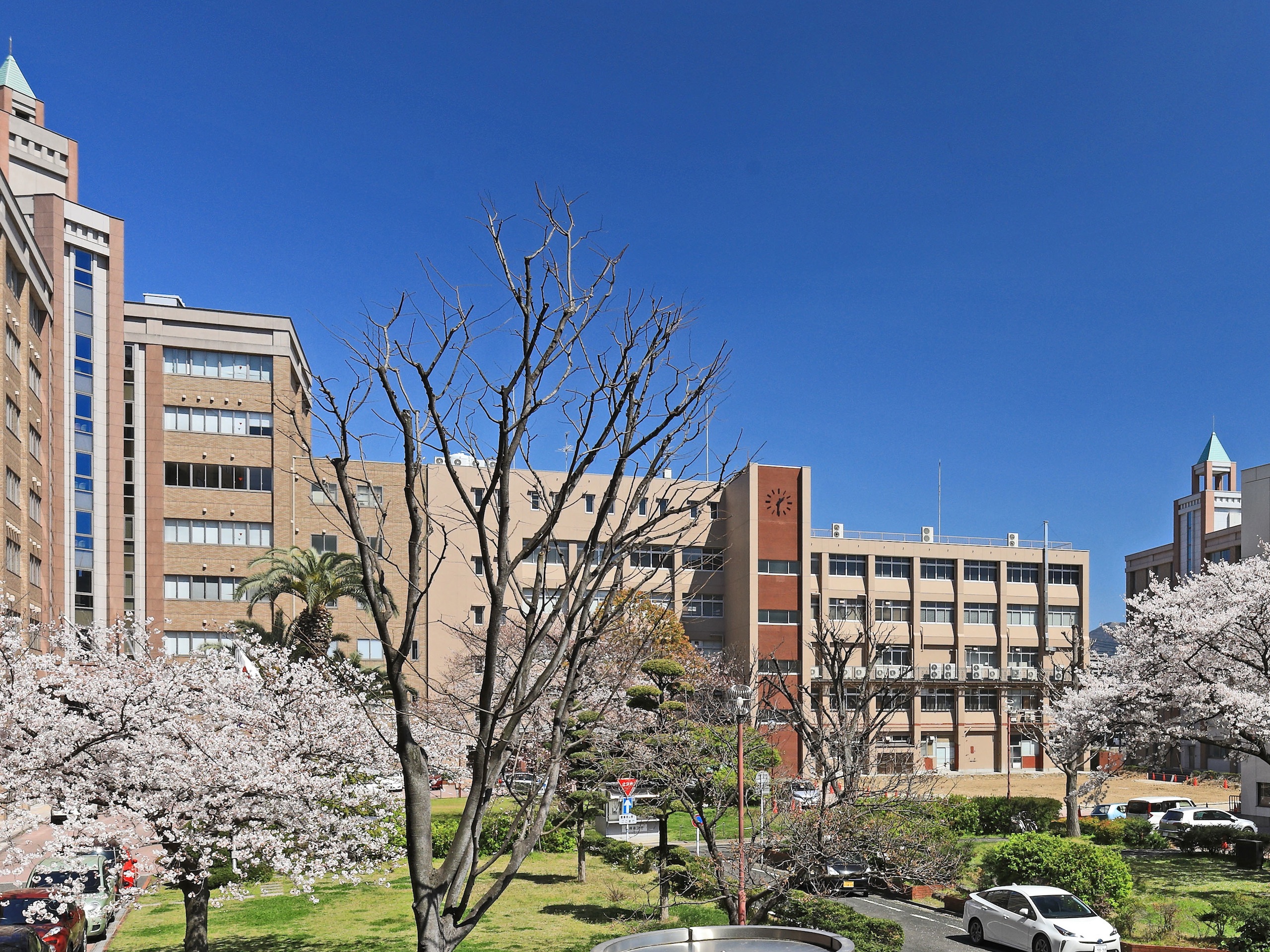九州栄養福祉大学のオープンキャンパス