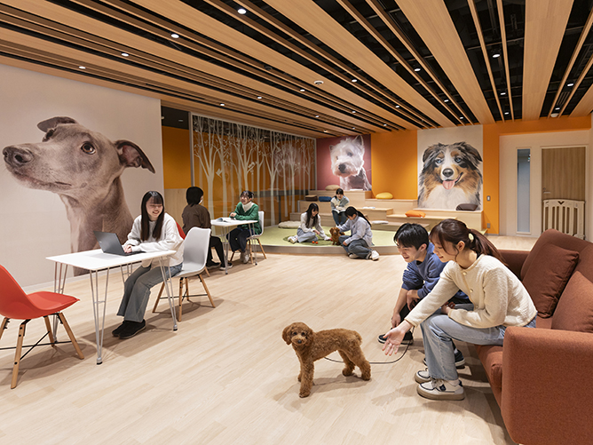 ヤマザキ動物看護大学のcampusgallery