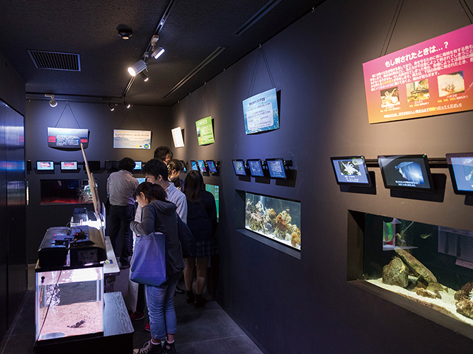 北里大学のcampusgallery