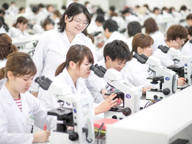 学生ひとりにつき1台の顕微鏡を完備しています。
