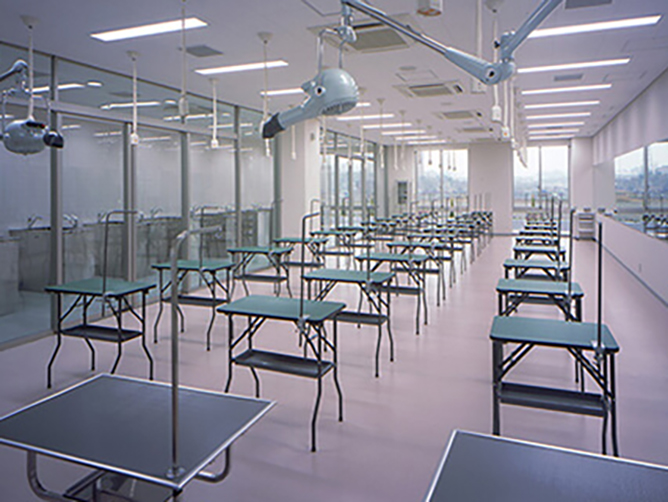ヤマザキ動物看護大学のcampusgallery