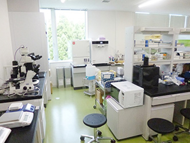 鳥取看護大学のオープンキャンパス