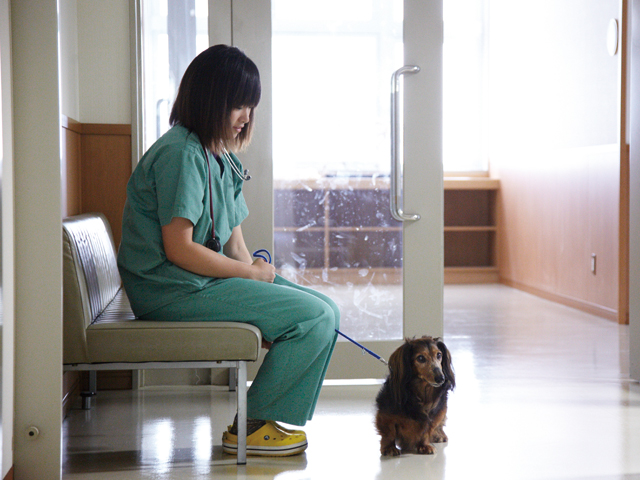 北里大学のcampusgallery