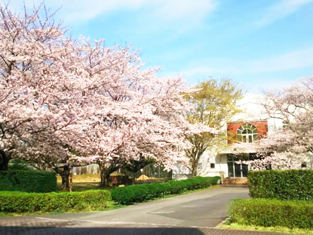 植草学園大学のオープンキャンパス