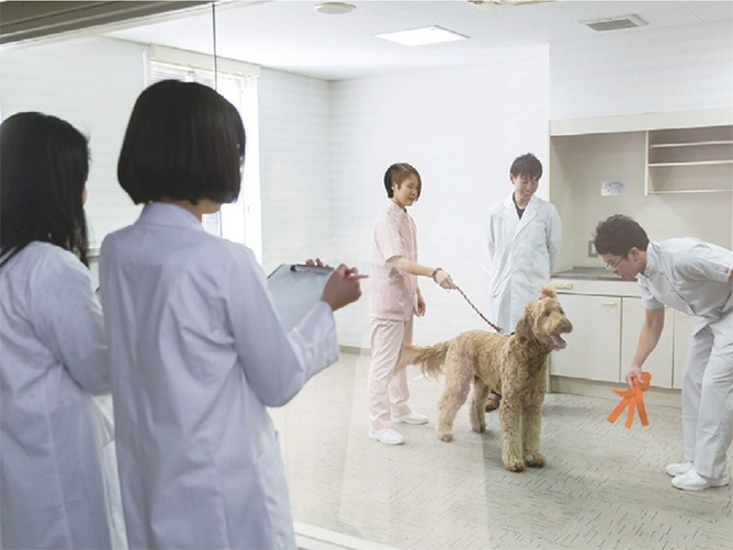 ヤマザキ動物看護大学のcampusgallery