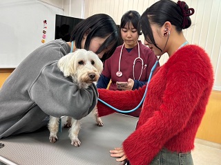 吉田学園動物看護専門学校のcampusgallery