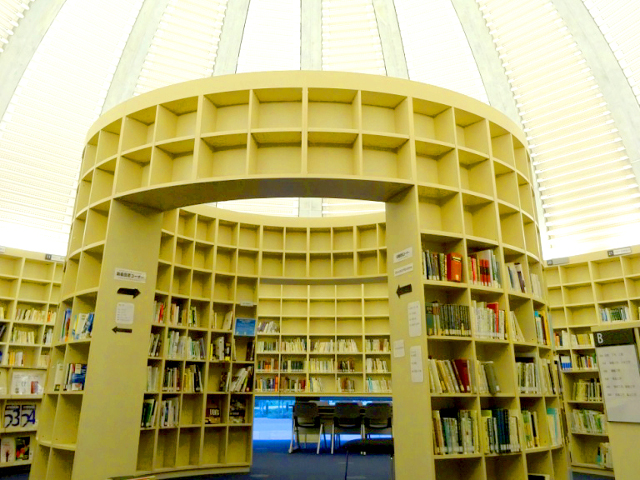 甲南大学のcampusgallery