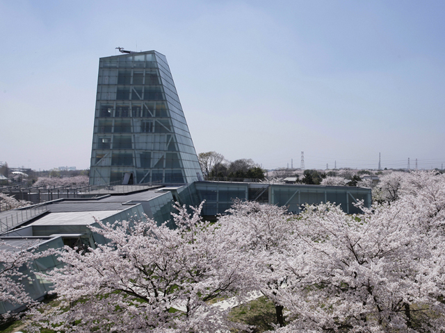 日本工業大学の図書館