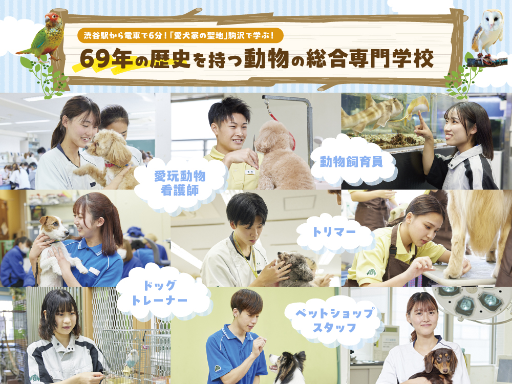 国際動物専門学校