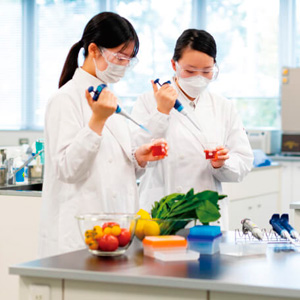 生活環境学部