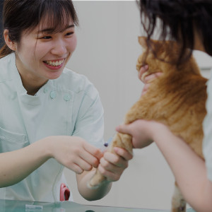 動物生命科学科