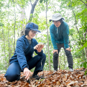 環境学部