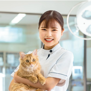動物看護師科