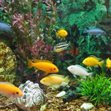 海洋生物学科