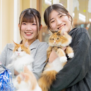 ペット学科