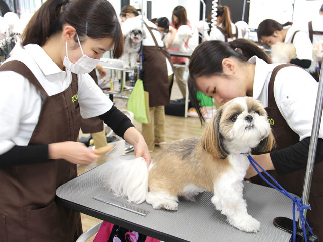 ＴＣＡ東京ＥＣＯ動物海洋専門学校のcampusgallery