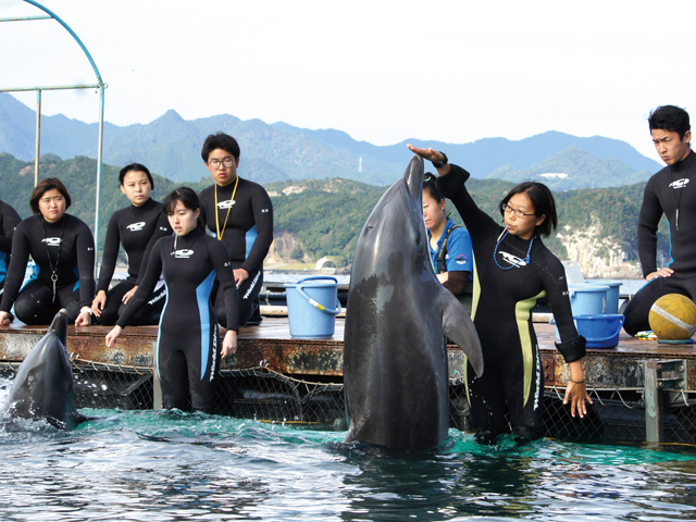 ＴＣＡ東京ＥＣＯ動物海洋専門学校のcampusgallery