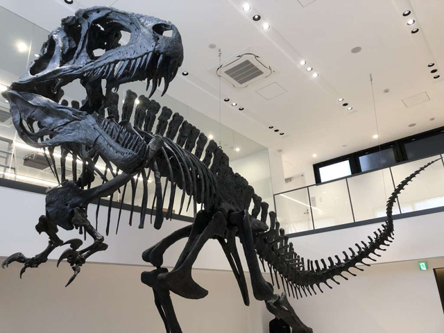 ＴＣＡ東京ＥＣＯ動物海洋専門学校のcampusgallery