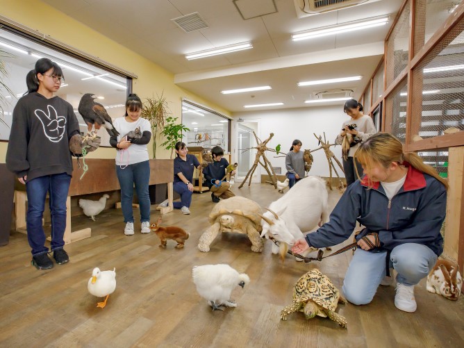 福岡ＥＣＯ動物海洋専門学校