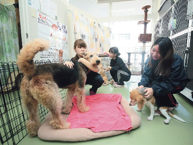沖縄ペットワールド専門学校