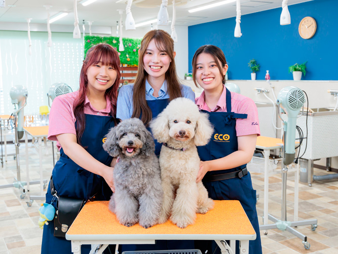 名古屋ＥＣＯ動物海洋専門学校