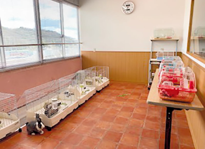 小動物ルーム